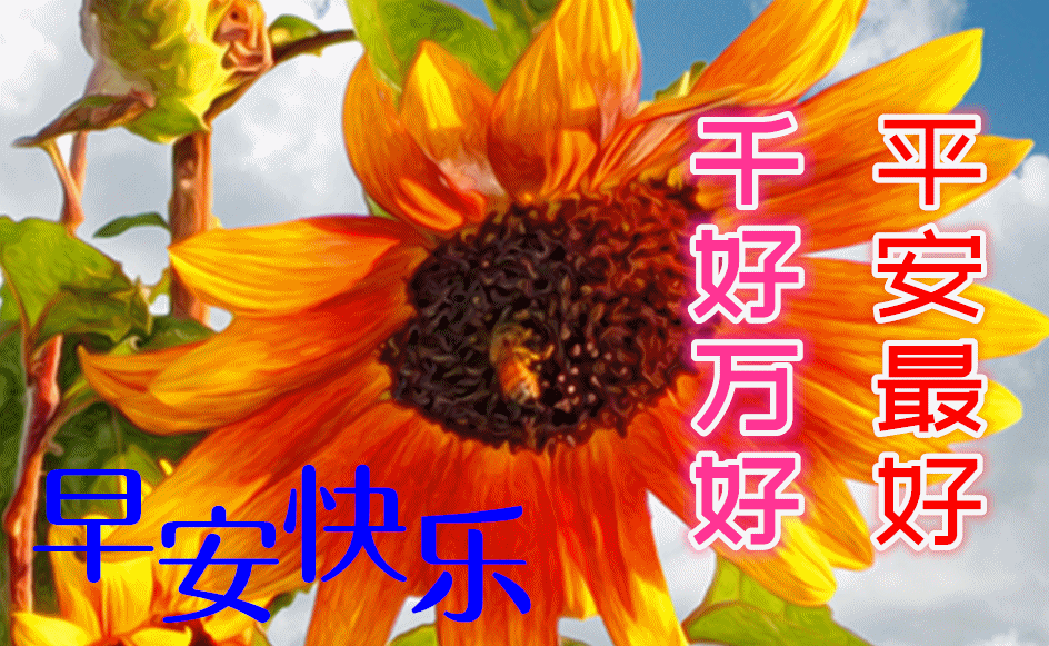 8张精选早上好动态图片大全秋天早晨好美图大全
