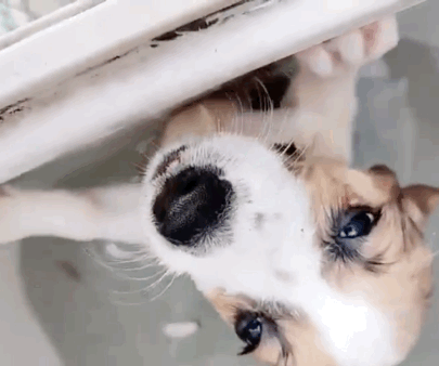 11点16分的时候,在某书上传了一条令人发指的视频:2021年8月17日一早