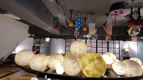 松树下的土鸡店主理人说: