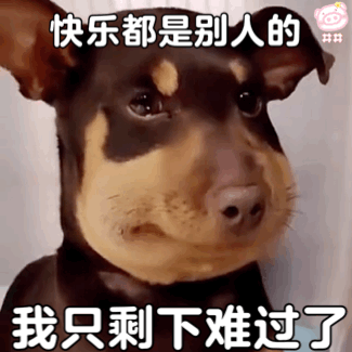 被蜜蜂蛰了的狗狗系列表情包