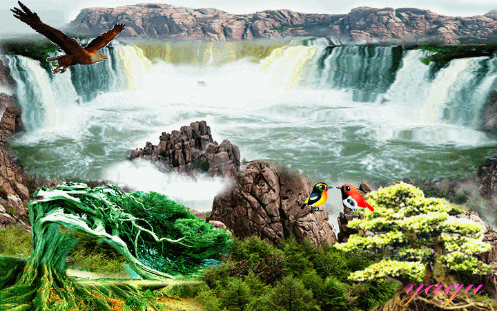 崧泽节气处暑三候鹰乃祭鸟天地始肃禾乃登文末福利放送