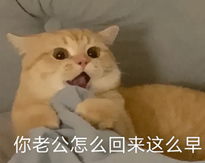 近期热门表情包 | 痛苦面具