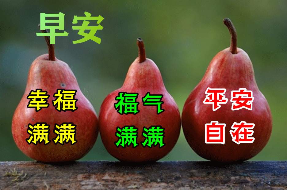 我亲爱的,早安!6,让风吹走你的忧愁,让雨洗掉你的烦恼.