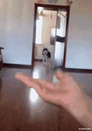 搞笑gif开心一刻说出来你可能不信我被车库绑架了