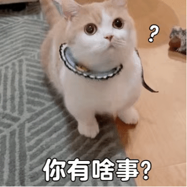 聊天可爱表情包我是你的小宝贝嘛