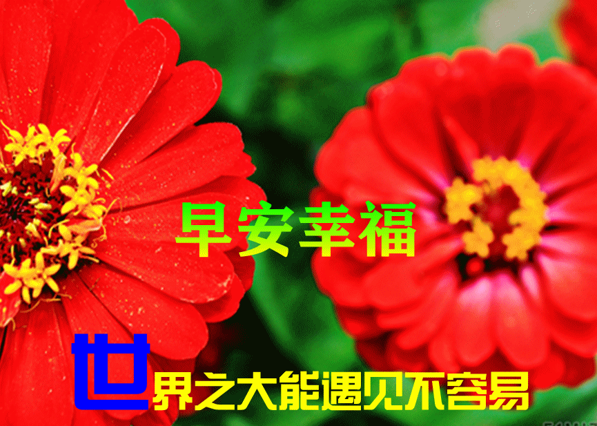 8月27日早上好动态表情图片大全,早晨好动图美图大全