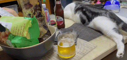 起来喝啊,搁这儿养金鱼呢?