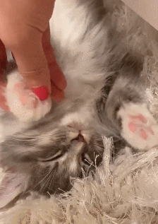 起来喝啊,搁这儿养金鱼呢?