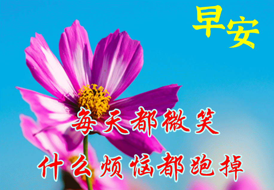 8月28日最漂亮早上好动态表情图片大全,早晨好动