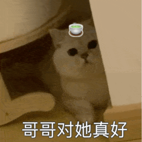 小表情包哥哥对她真好