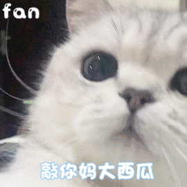 可爱猫猫表情包一我好想你鸭