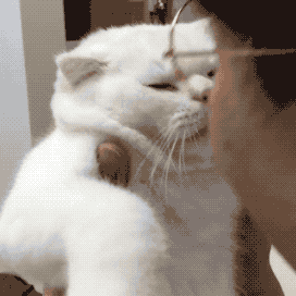 其实你误会它了