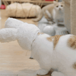 198丨每日精选沙雕图片表情包_腾讯新闻