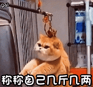 198丨每日精选沙雕图片表情包_腾讯新闻