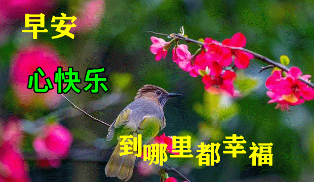 8月31日最新早上好动态祝福表情大全漂亮的早上好动图美图问候