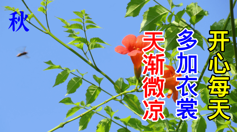 8月31日最新早上好动态祝福表情大全漂亮的早上好动图美图问候