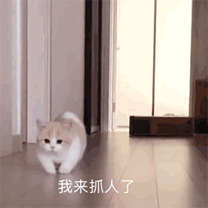 有熊孩子!快逃咦?这是嘛啊?嗷呜!