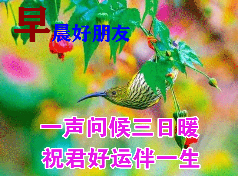 最新漂亮的早安吉祥图片大全,早上好最新问候图片带字