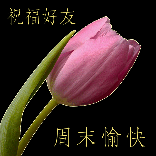 周末祝福语 周末问候动态图片大全