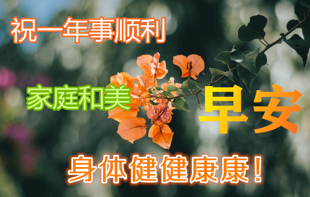 漂亮早安图片问候祝福语短信早上好唯美动画祝福图片