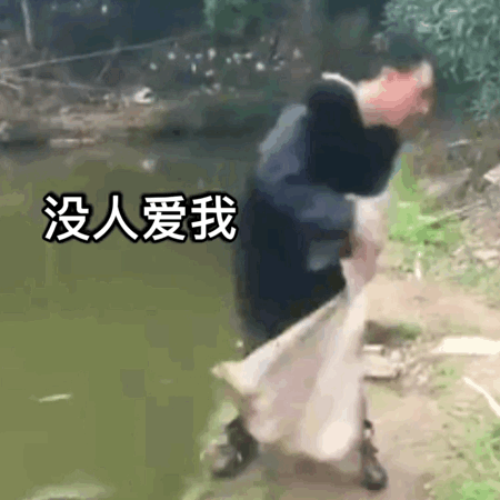 抖音表情包 i 查岗了 查岗了!