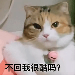 沙雕表情包不回我很酷么