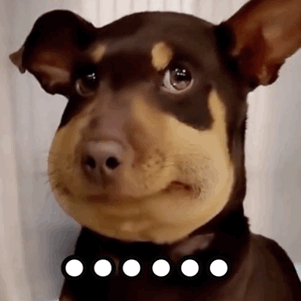 表情包你不怼我能憋死你嘛