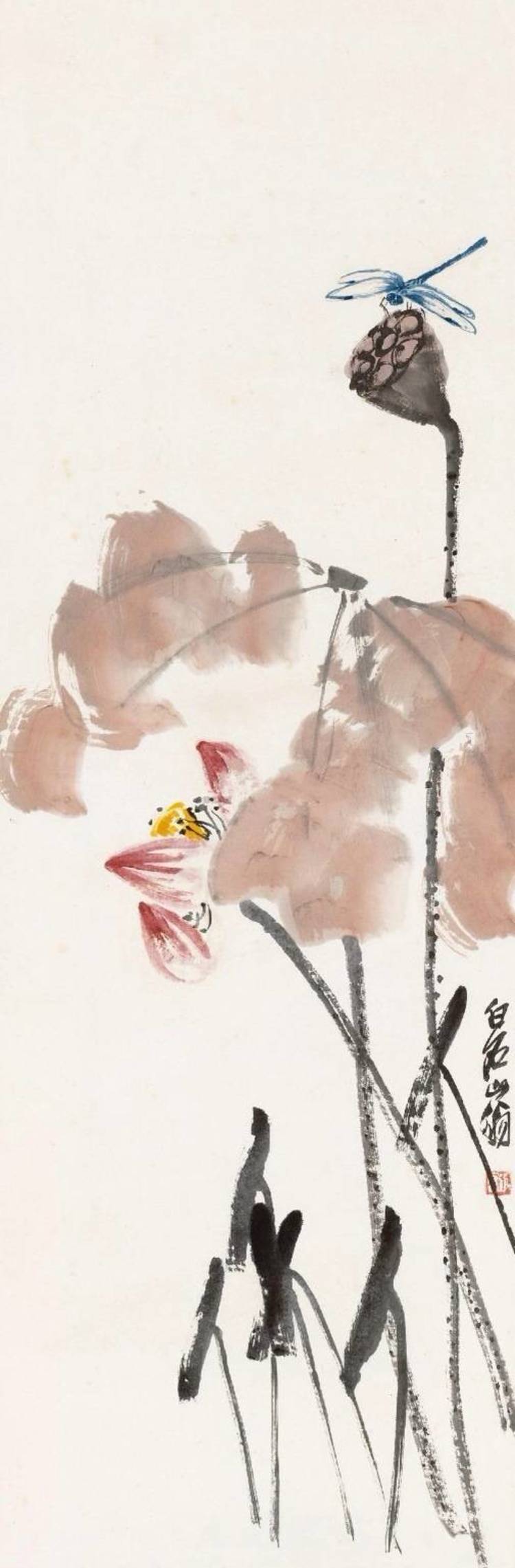 白露齐白石花鸟画秋荷余香