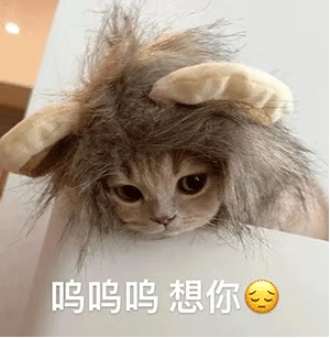 一大堆表情包更新呜呜呜想你