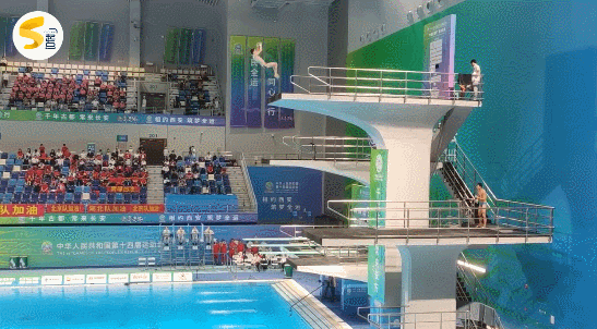 今日6金产生奥运跳水冠军曹缘上演大逆转最后时刻锁定金牌