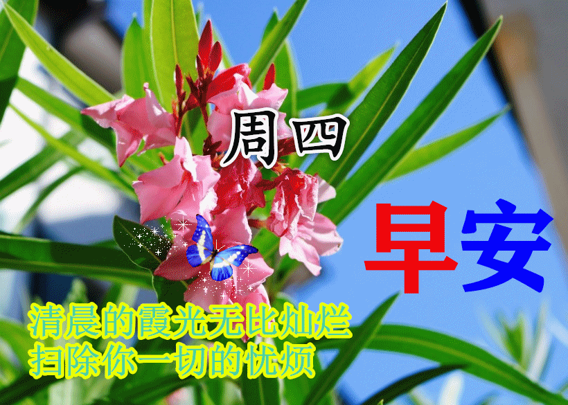 2021年10月28日星期四早上好问候祝福动态表情图片周四最新早安问候语