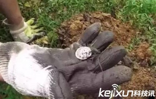男子上山寻宝挖出这物吓坏了！一盆硬币价值千万众人傻眼