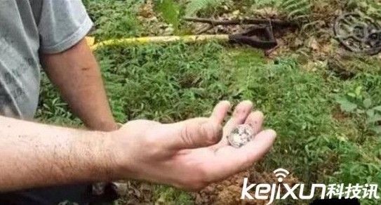 男子上山寻宝挖出这物吓坏了！一盆硬币价值千万众人傻眼