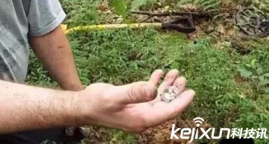 男子上山寻宝挖出这物吓坏了！一盆硬币价值千万众人傻眼