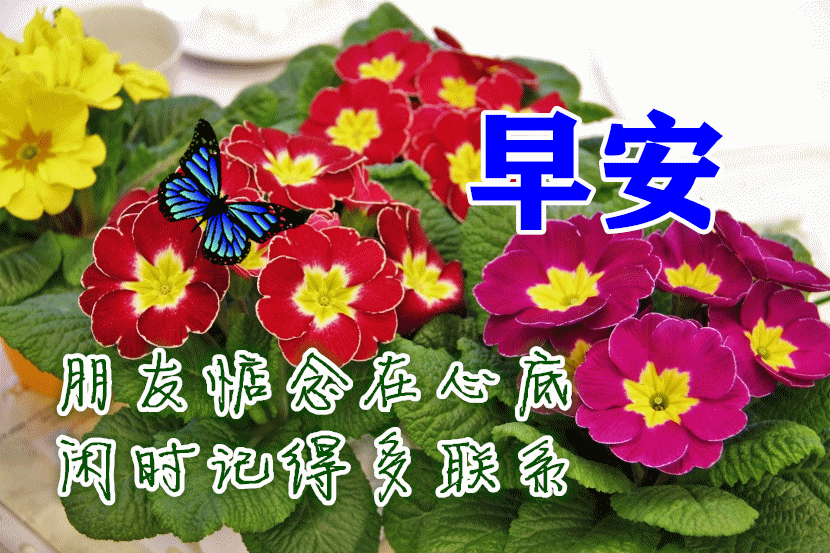 9月11日最新早上好动态祝福表情大全漂亮的早上好动图美图问候