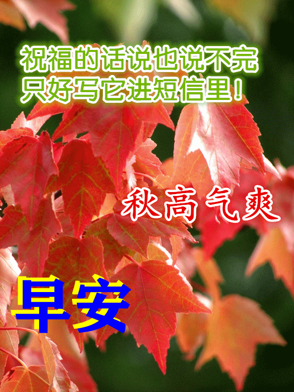9月11日最新早上好动态祝福表情大全漂亮的早上好动图美图问候