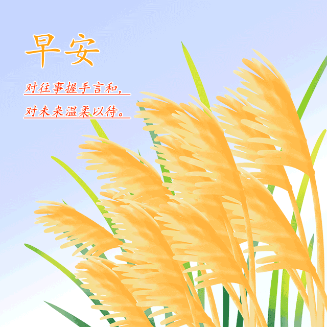 秋季早安问候语及关心话经典简短温馨唯美图片大全 早上好暖心话简短