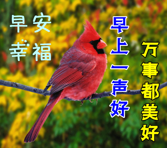 2022年1月14日清晨早上好问候祝福动态表情图片最新早安问候祝福图片