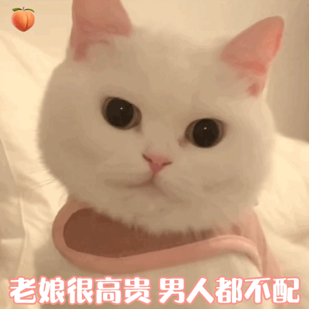 表情包|你凶巴巴