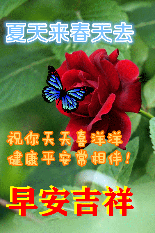 9月13日最新早上好动态表情图片大全早上好问候语句子