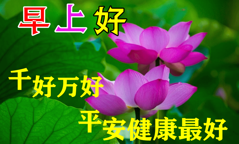 9张最新创意好看的秋日早安早上好图片带祝福语 不用.