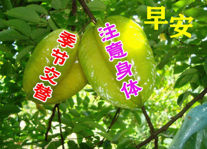 9月16日最新早上好动态祝福表情大全,漂亮的早上好动