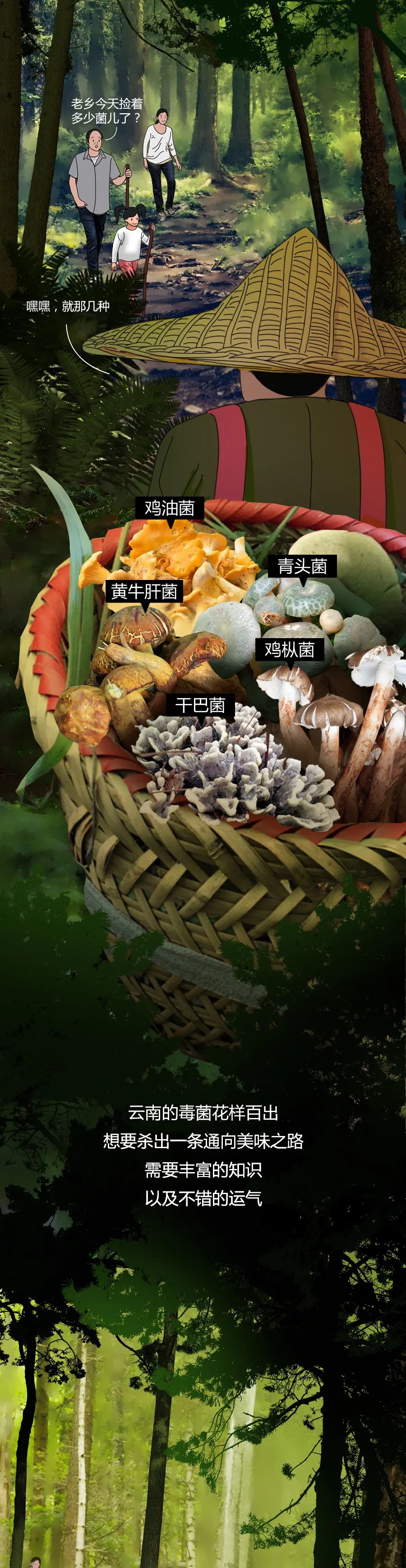 采蘑菇的小姑娘