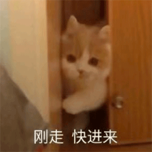 50个聊天斗图沙雕表情包丨今天使点什么坏好呢