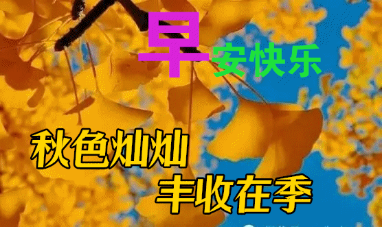 10月28日秋天漂亮早上好图片动态表情大全,最美风景好