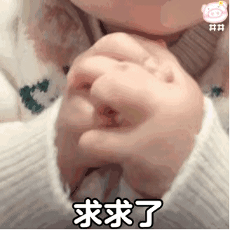 沙雕表情包|求求了