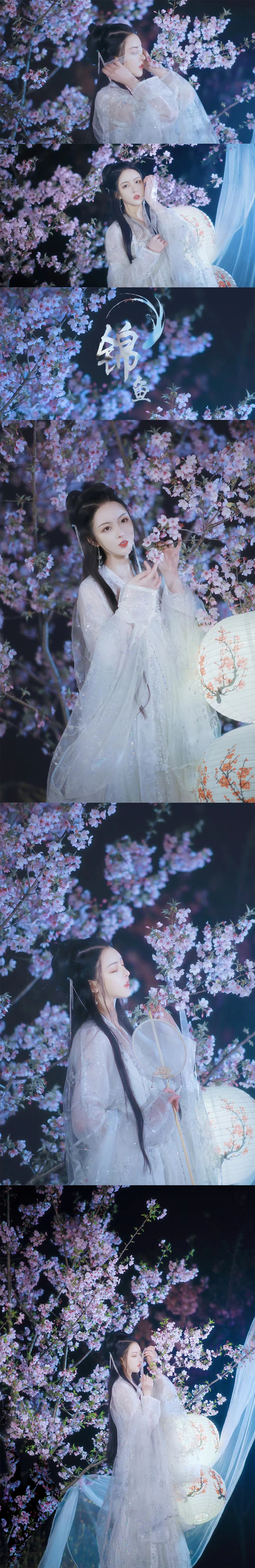 一簇花开万千宠爱锦鱼映画摄影作品