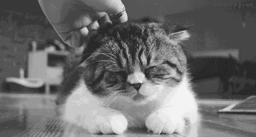 吓人被蚊子咬后发高烧22天做5场手术男子险遭截肢和丧命