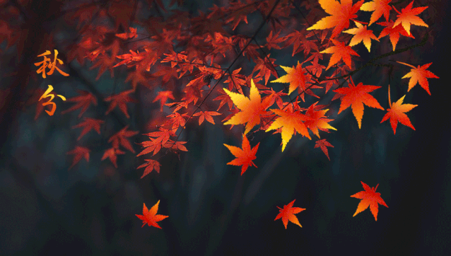 秋分节气问候语动态表情图片祝福句子最新