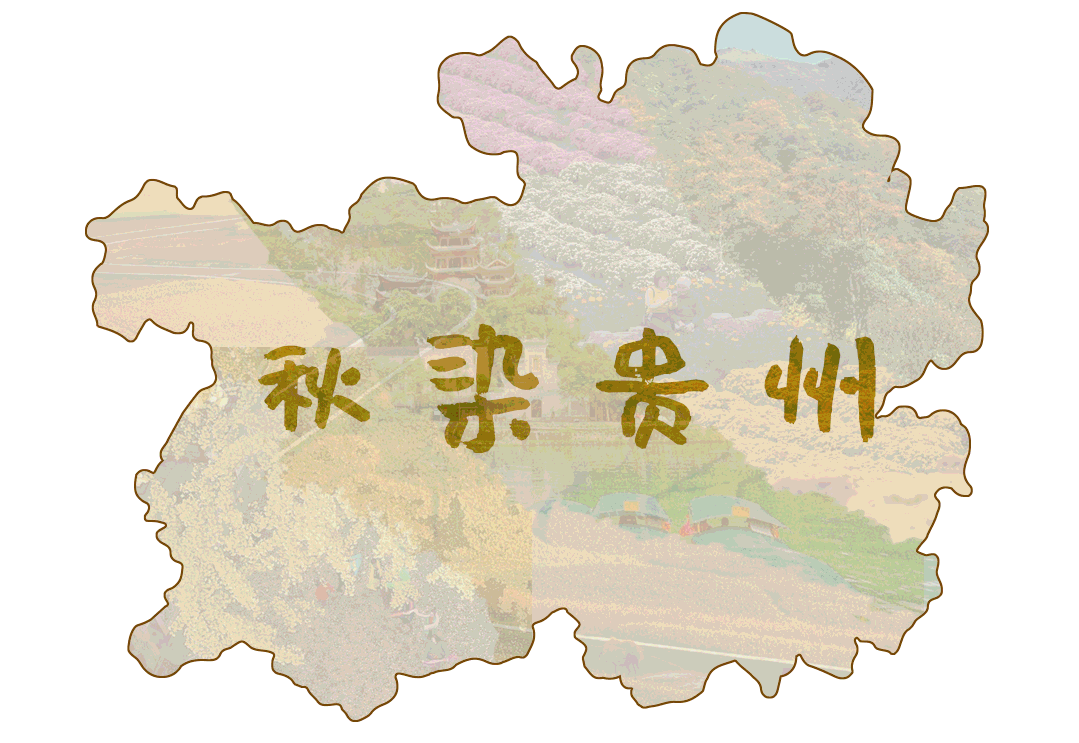斑斓山色,壮美梯田,金色银杏 丰收田园,诗意民宿 …… 当
